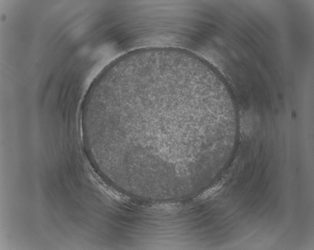 X0000067901078200605111911