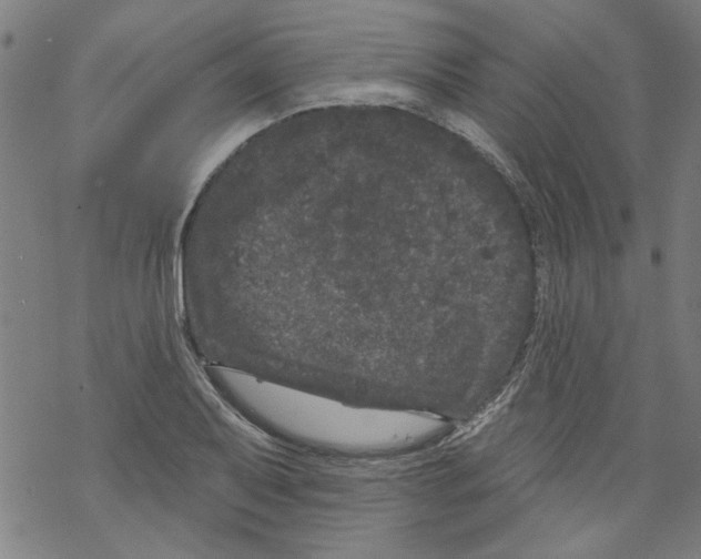 X0000067901079200605111911