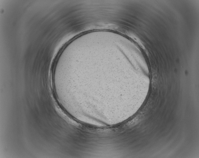 X0000067901080200605111911