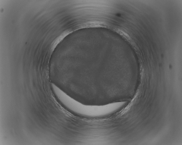 X0000067901081200605111911