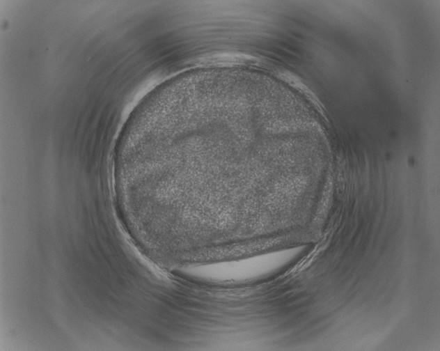 X0000067901083200605111911