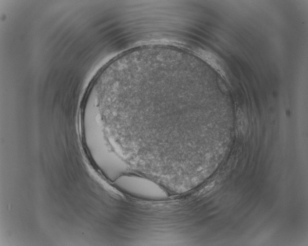 X0000067901084200605111911