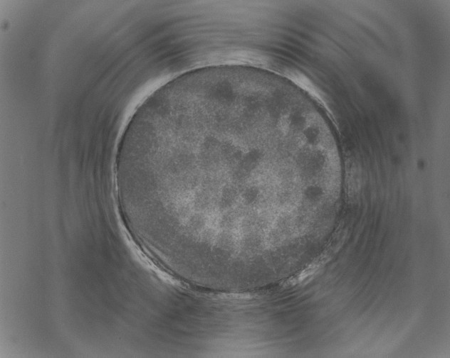 X0000067901088200605111911