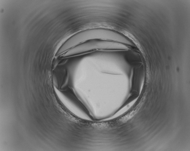 X0000067901089200605111911