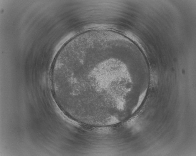 X0000067901090200605111911