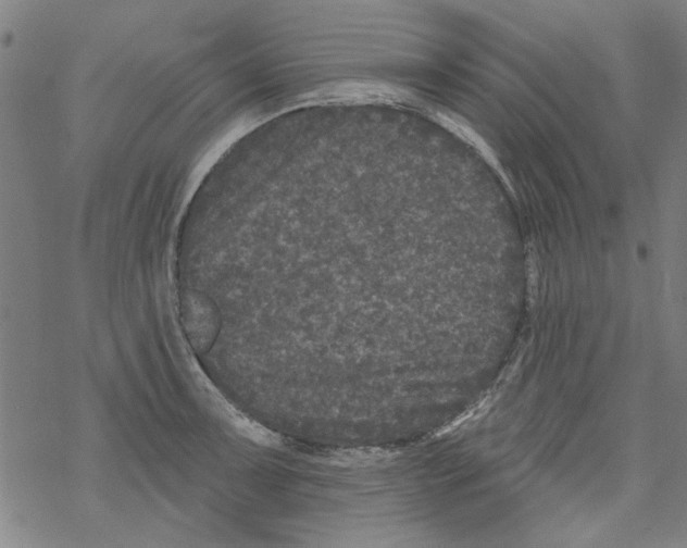 X0000067901091200605111911