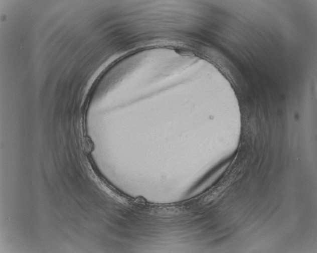 X0000067901092200605111911