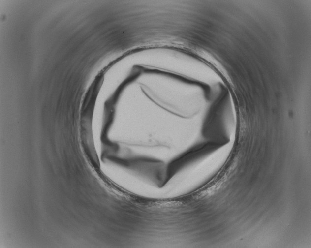 X0000067901093200605111911