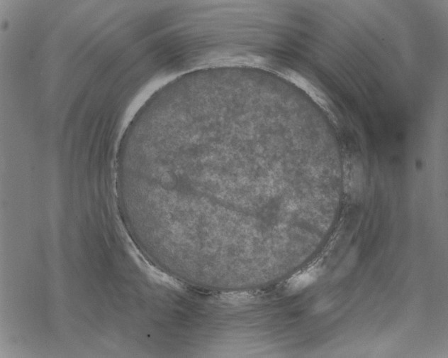 X0000067901094200605111911