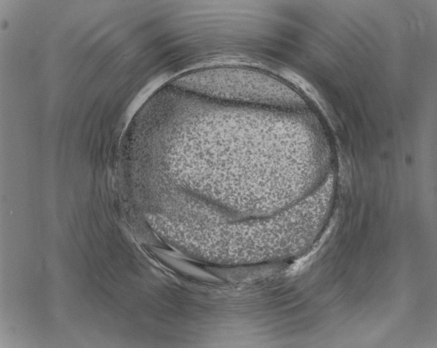 X0000067901097200605111911