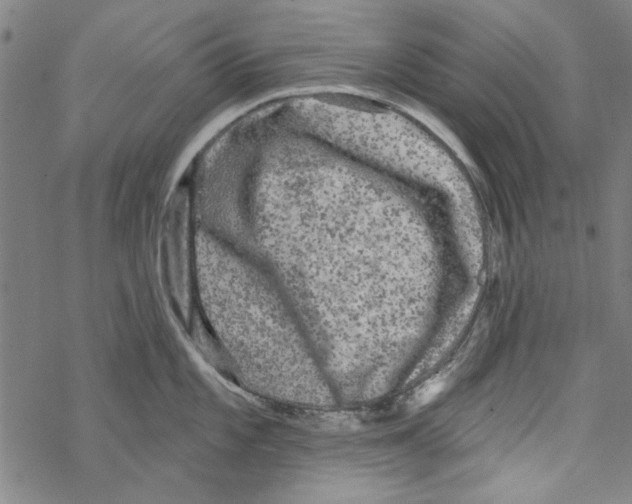 X0000067901101200605111911