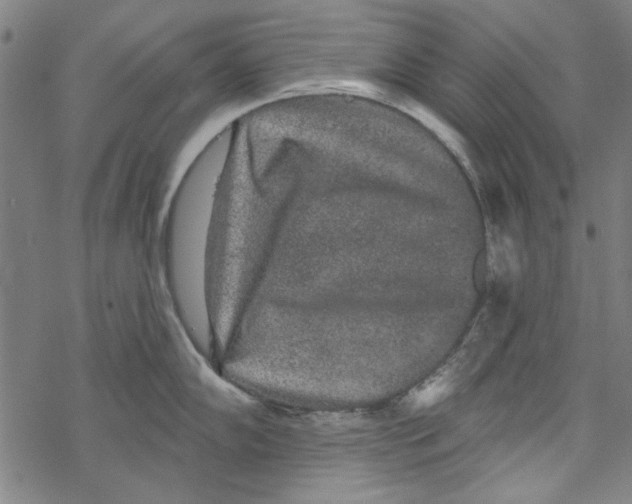 X0000067901102200605111911