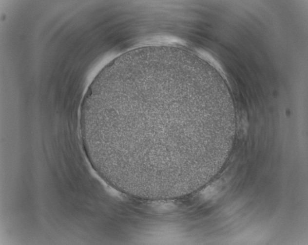 X0000067901103200605111911