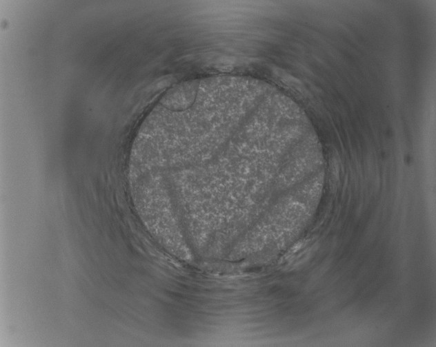 X0000067901105200605111910