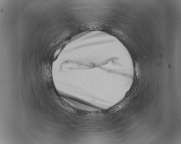 X0000067901107200605111910