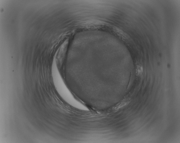 X0000067901108200605111910