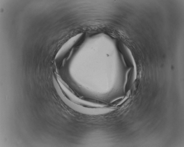 X0000067901109200605111910