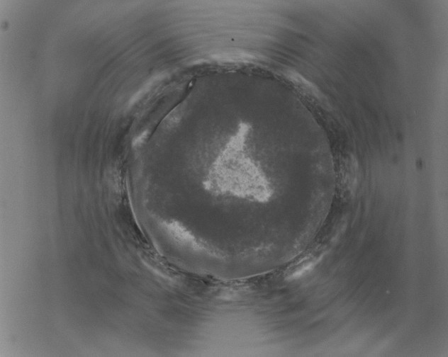 X0000067901110200605111910