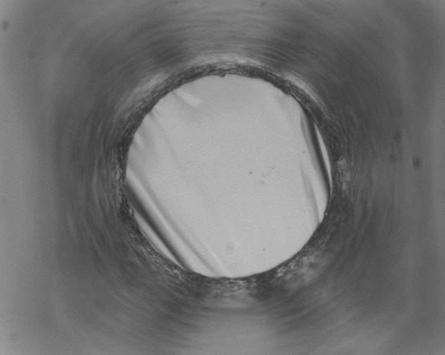 X0000067901111200605111910