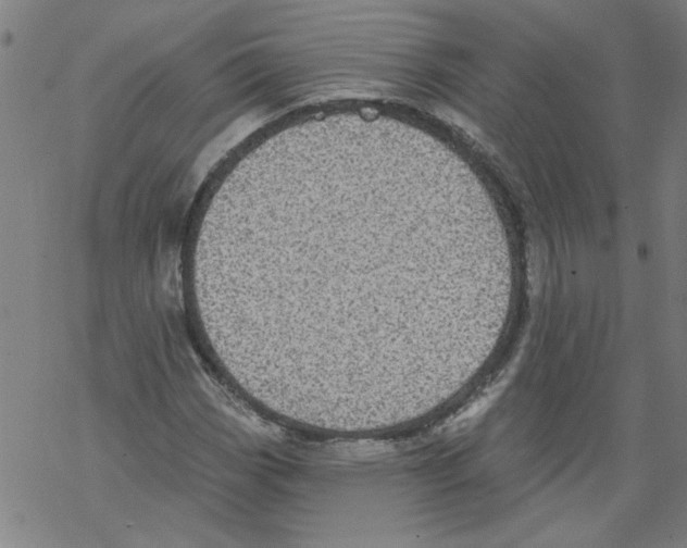 X0000067901113200605111910