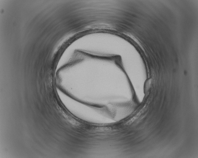 X0000067901115200605111910