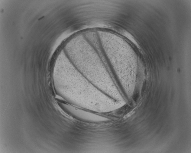 X0000067901116200605111910