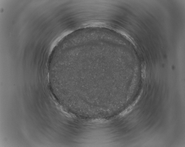 X0000067901117200605111910