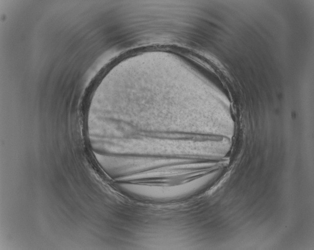 X0000067901118200605111910