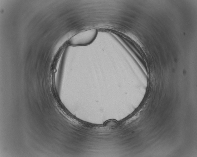 X0000067901119200605111910