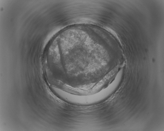 X0000067901120200605111910