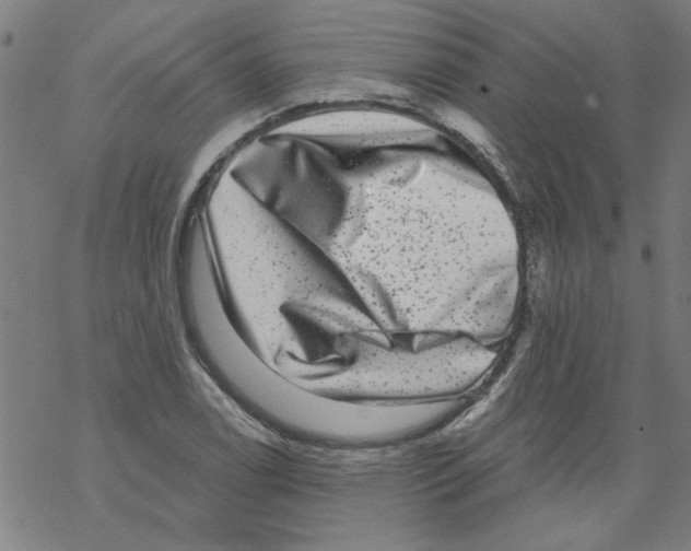 X0000067901122200605111910