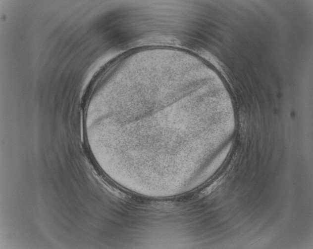 X0000067901123200605111910