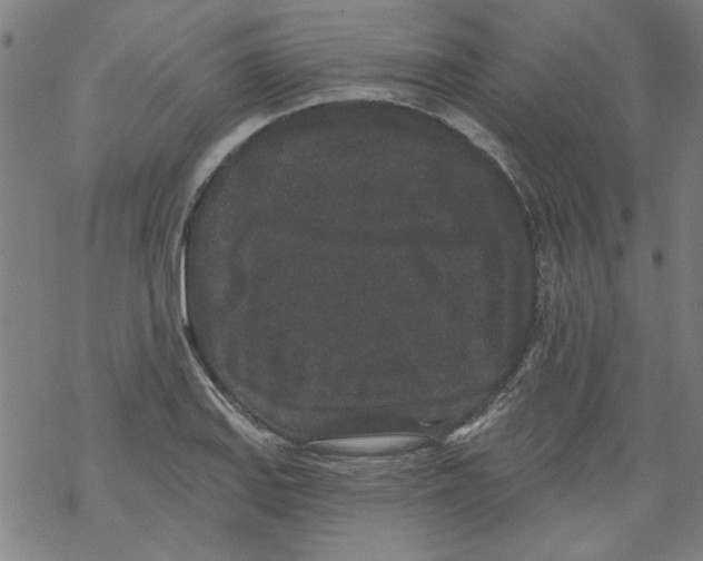 X0000067901127200605111910