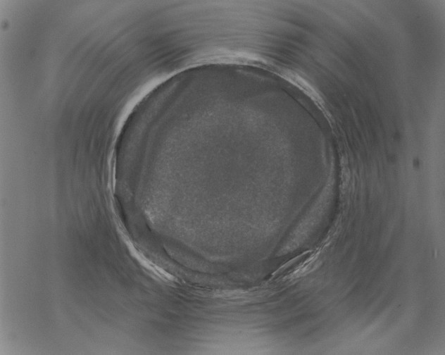 X0000067901128200605111910