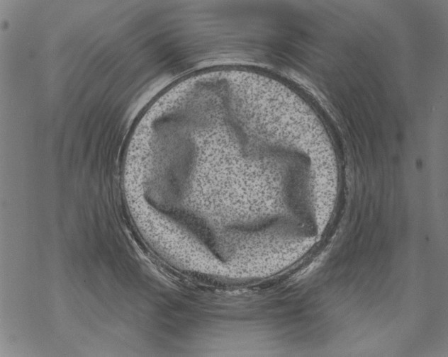 X0000067901129200605111910