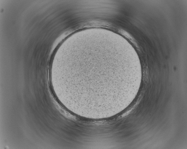 X0000067901130200605111910