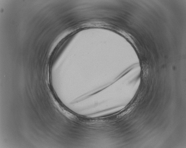 X0000067901131200605111910