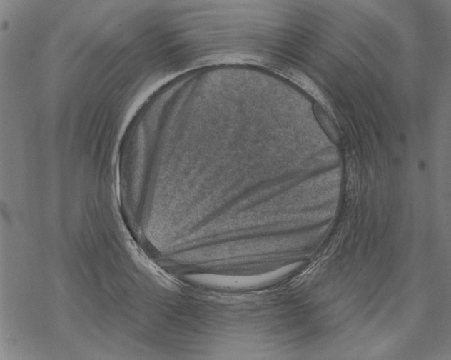 X0000067901132200605111910