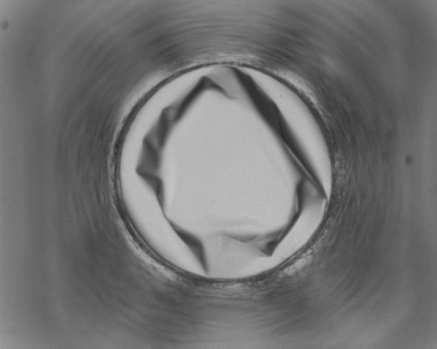 X0000067901135200605111910