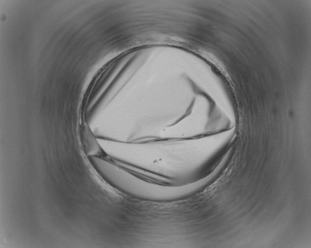 X0000067901136200605111910