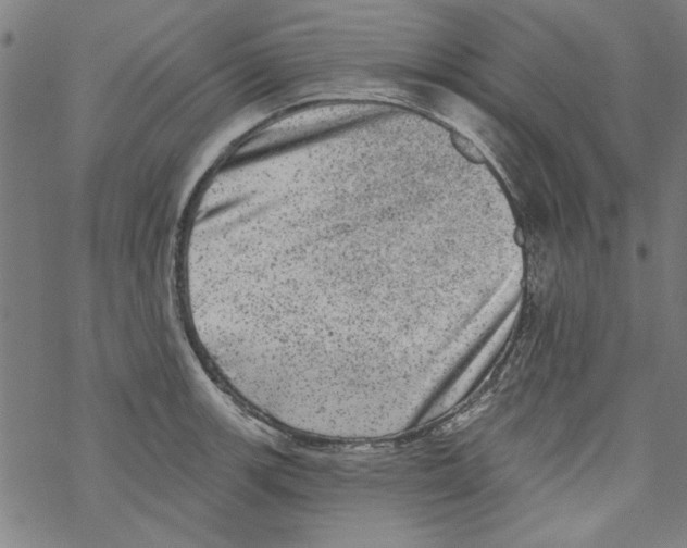 X0000067901139200605111910