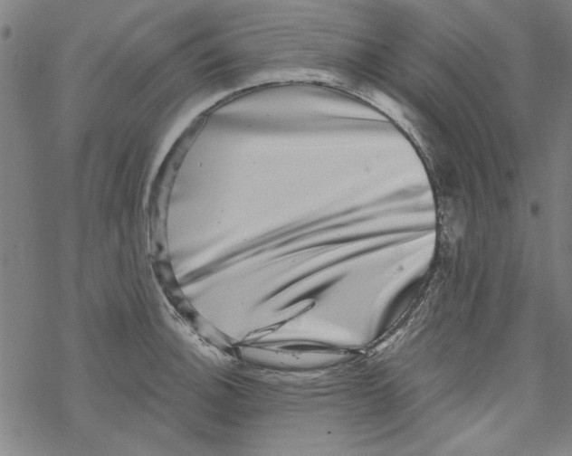 X0000067901140200605111910