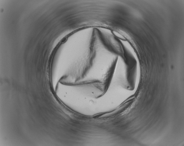 X0000067901141200605111910