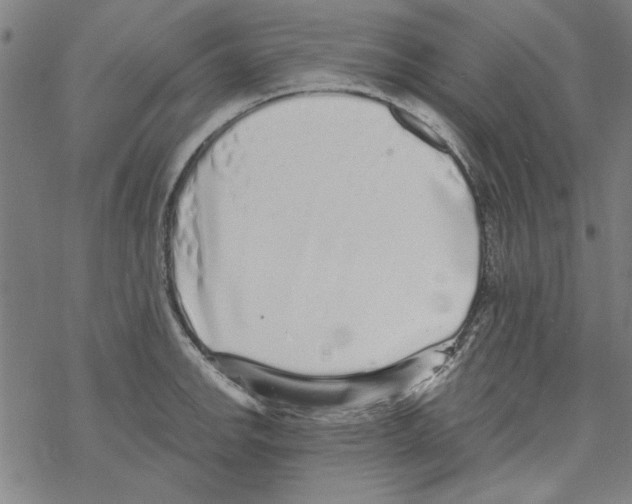 X0000067901142200605111910