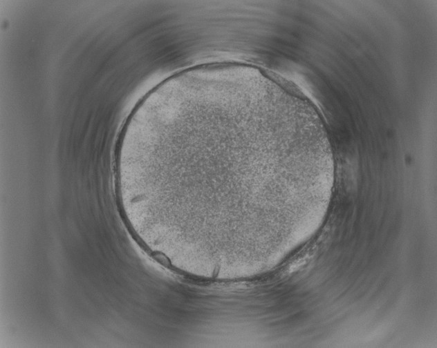 X0000067901143200605111910