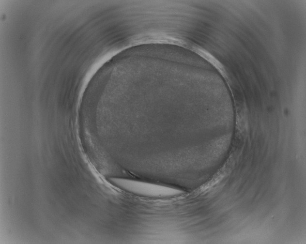 X0000067901144200605111910