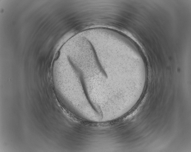 X0000067901145200605111910