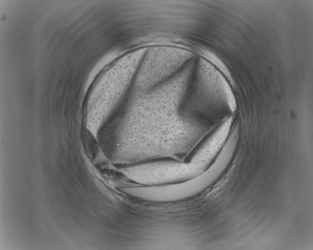 X0000067901146200605111910