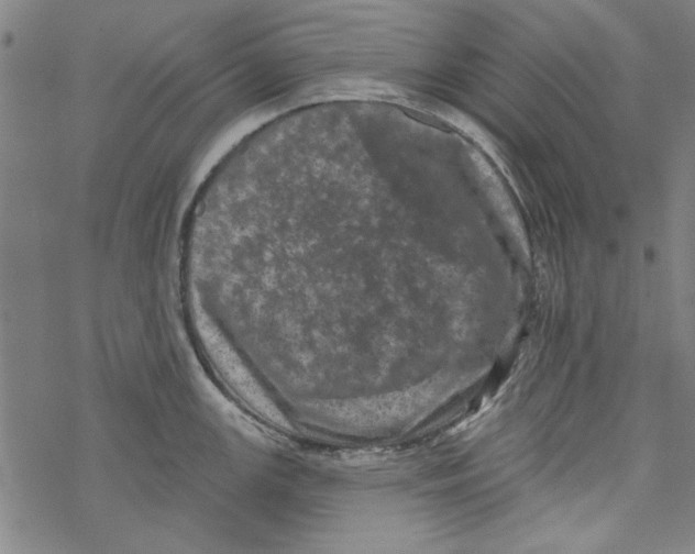 X0000067901147200605111910