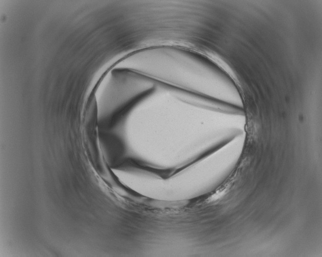 X0000067901148200605111910